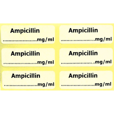 Ampicillin Label