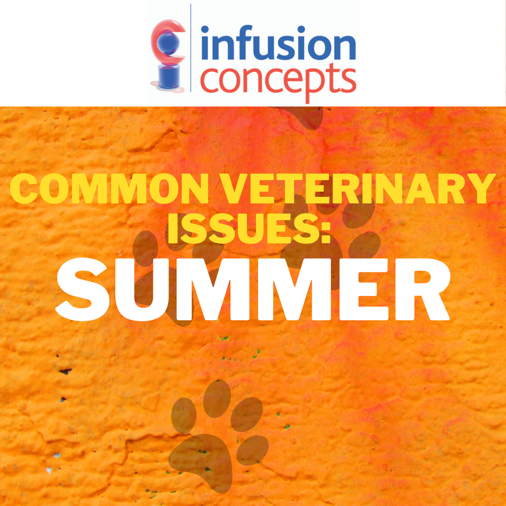Summer Veterinary Issues